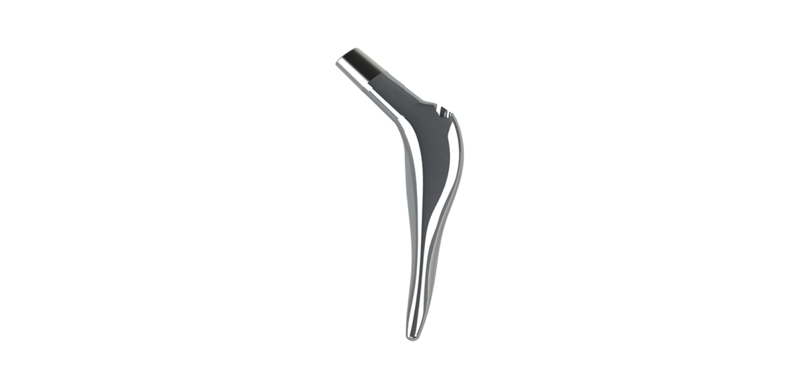 Cemented Femoral Stem